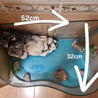 acquario 