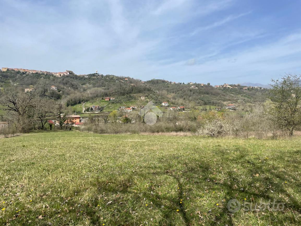 TER. AGRICOLO A GALLINARO - More