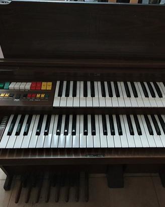 ORGANO ELKA E19 