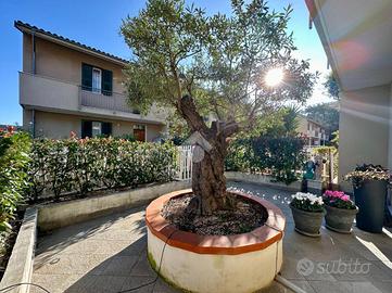 VILLA A SCHIERA A SPOTORNO