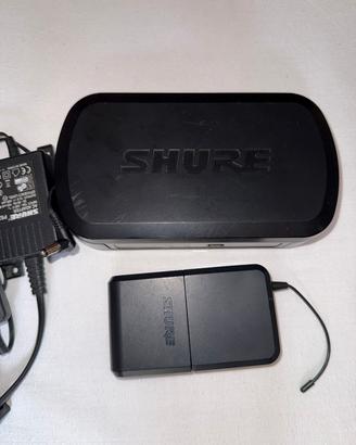 Shure PG4