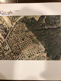 Terreno agr. - oliveta Sesto F. No zona Castellina