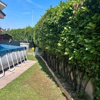 Giardiniere Monza e Brianza