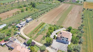 TER. AGRICOLO A GIULIANOVA