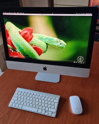 Apple iMac 21.5" Retina 4K, Fusion Drive 2TB