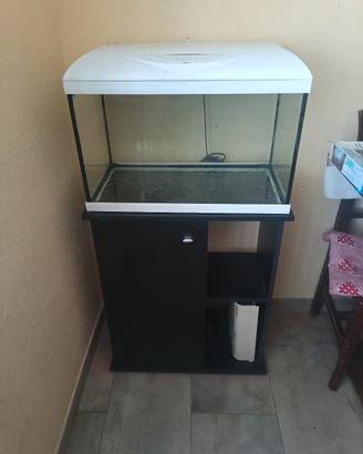 acquario
