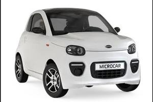 Minicar ligier dué young