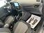 Immagine 12