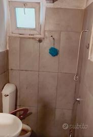 DRAGONA BILOCALE LiBERO DA SUBITO