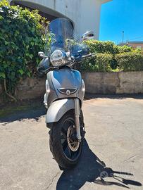 SCARABEO 300S 2012