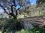 Immagine 9