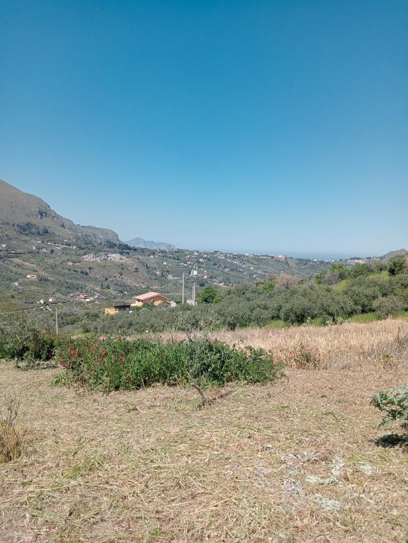 Terreno verde agricolo - Altro