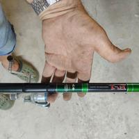 bolognese Daiwa tournament F1