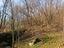 Immagine 27