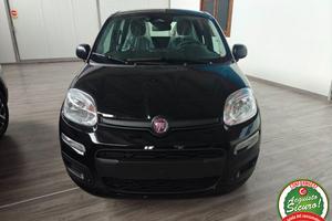FIAT Pandina 1.0 FireFly 65 CV Hybrid Icon