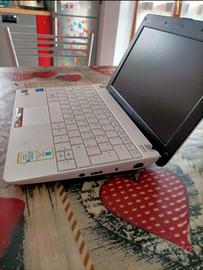 eeepc 1001px