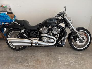 Harley Davidson v rod VRSCB