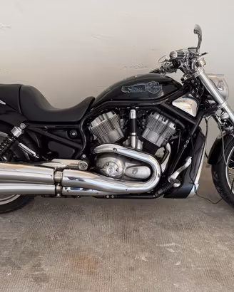 Harley Davidson v rod VRSCB