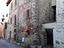 Immagine 21