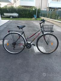 bicicletta Vicini 