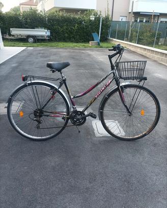 bicicletta Vicini 