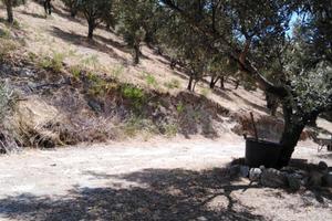 Terreno in Calabria