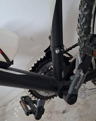 bici bottecchia