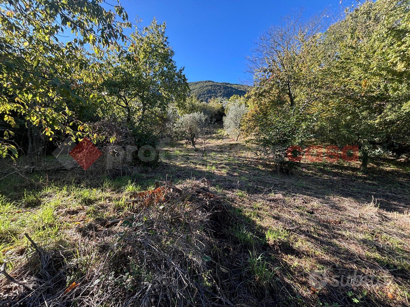 Terreno Agricolo Sgurgola [Cod. rif 3266439VCG] - Vista 3
