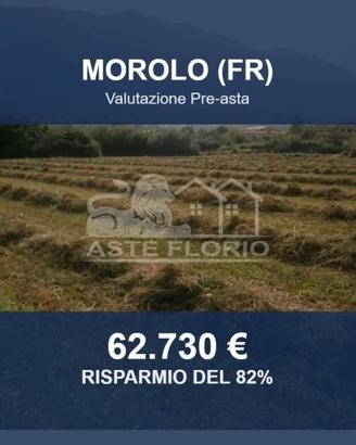 Immobile in asta di 11820 m² a Morolo