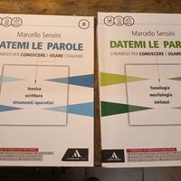 libro scuola datem le parole 