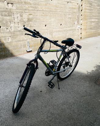 bicicletta bianchi mtb
