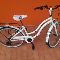 Citybike Montana 24"