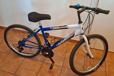 Bicicletta 