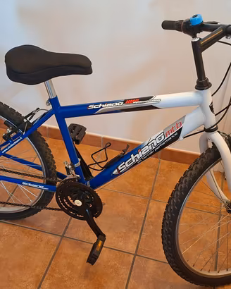 Bicicletta 