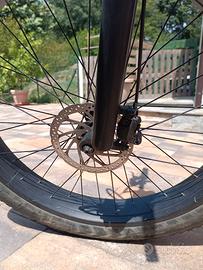 Bici elettrica