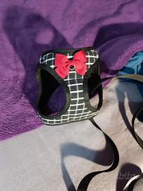 pettorina gattino/cagnetto