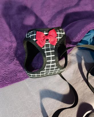 pettorina gattino/cagnetto