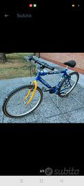 Mountain bike ragazzo 
