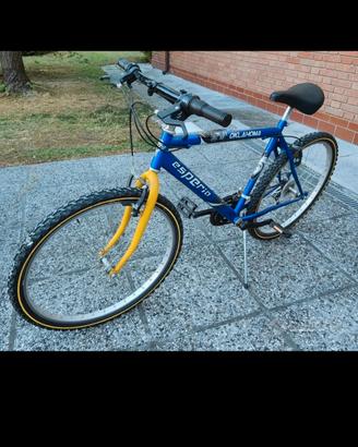 Mountain bike ragazzo 