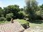 Immagine 29
