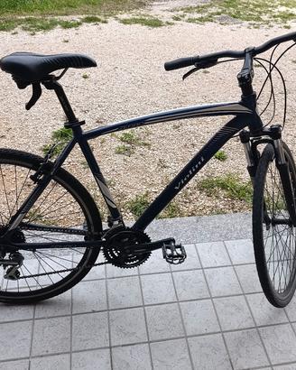 Bicicletta Violini
