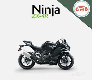 Kawasaki Ninja ZX-4 R 2026