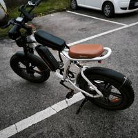 bicicletta elettrica engwe m20