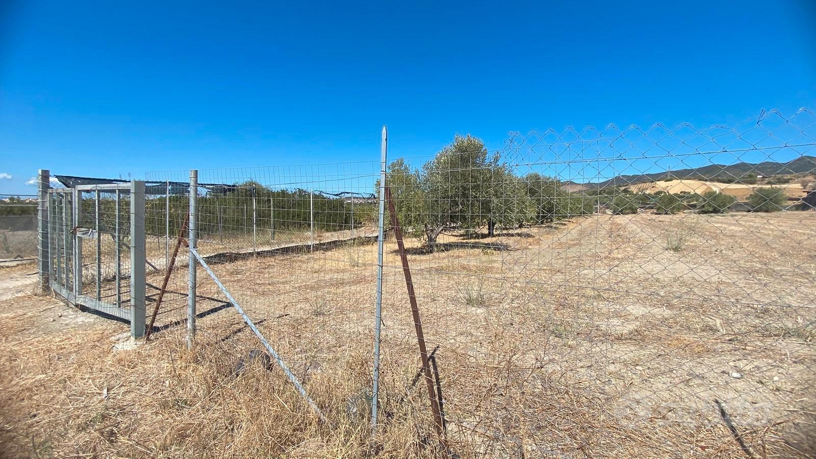 Terreno agricolo ALL INCLUSIVE EUROSPA - Vista 2