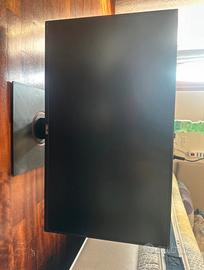 monitor ASUS MSI VG248QG