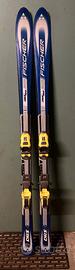 Sci Fischer DRS 100