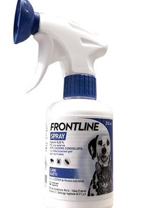 Antipulci per cani e gatti