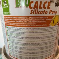 BioCalce silicato puro (intonachino)