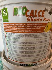 BioCalce silicato puro (intonachino)