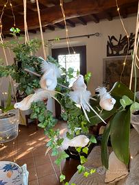 Uccellini di vere piume con mollettina